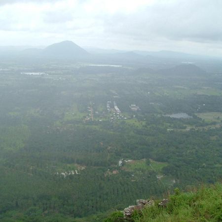 Vila Raintree Dambulla Exteriér fotografie