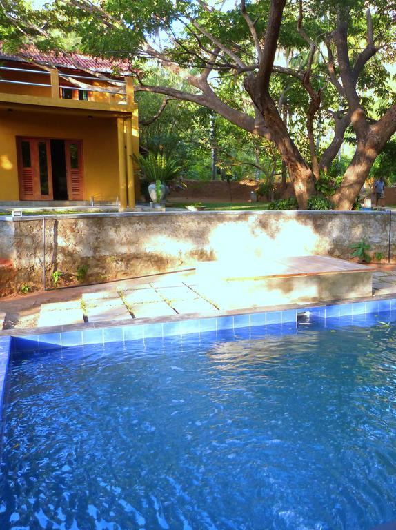 Vila Raintree Dambulla Exteriér fotografie