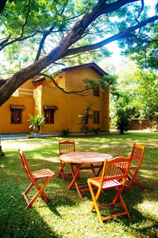 Vila Raintree Dambulla Exteriér fotografie