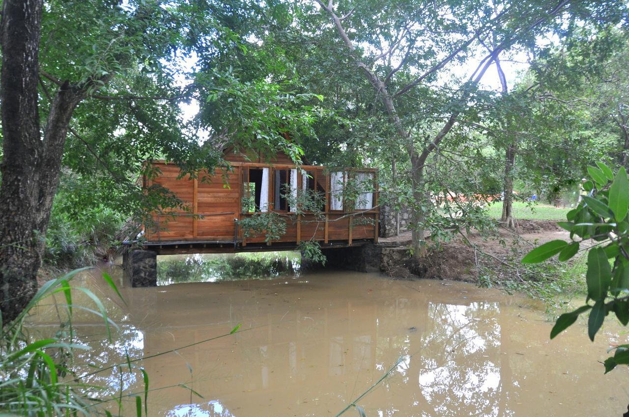 Vila Raintree Dambulla Exteriér fotografie