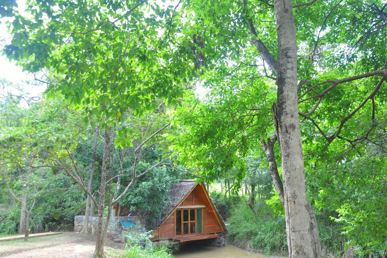 Vila Raintree Dambulla Exteriér fotografie