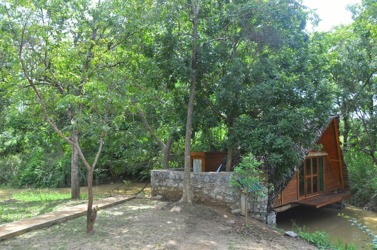 Vila Raintree Dambulla Exteriér fotografie
