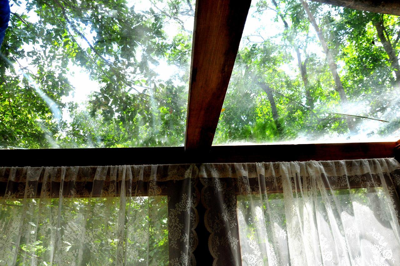 Vila Raintree Dambulla Exteriér fotografie