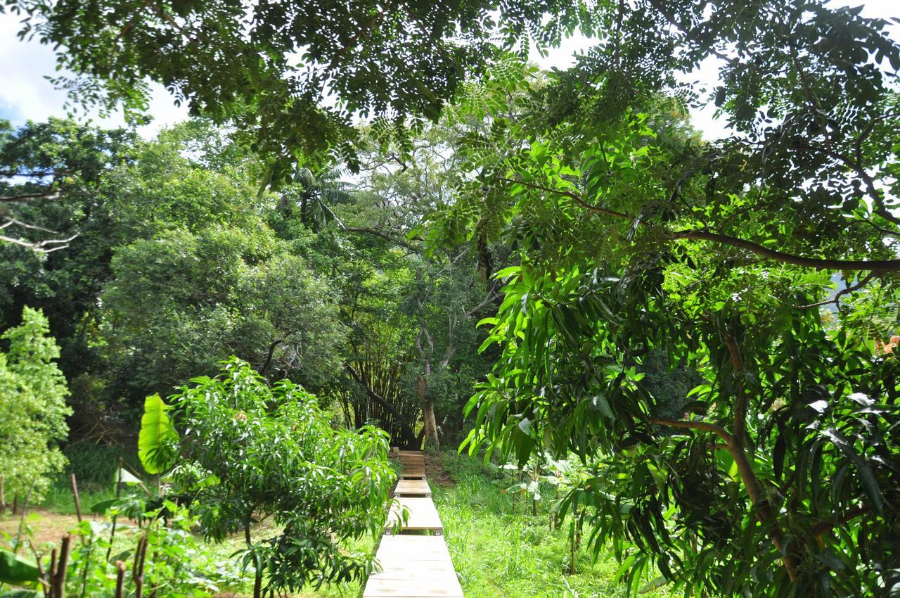 Vila Raintree Dambulla Exteriér fotografie