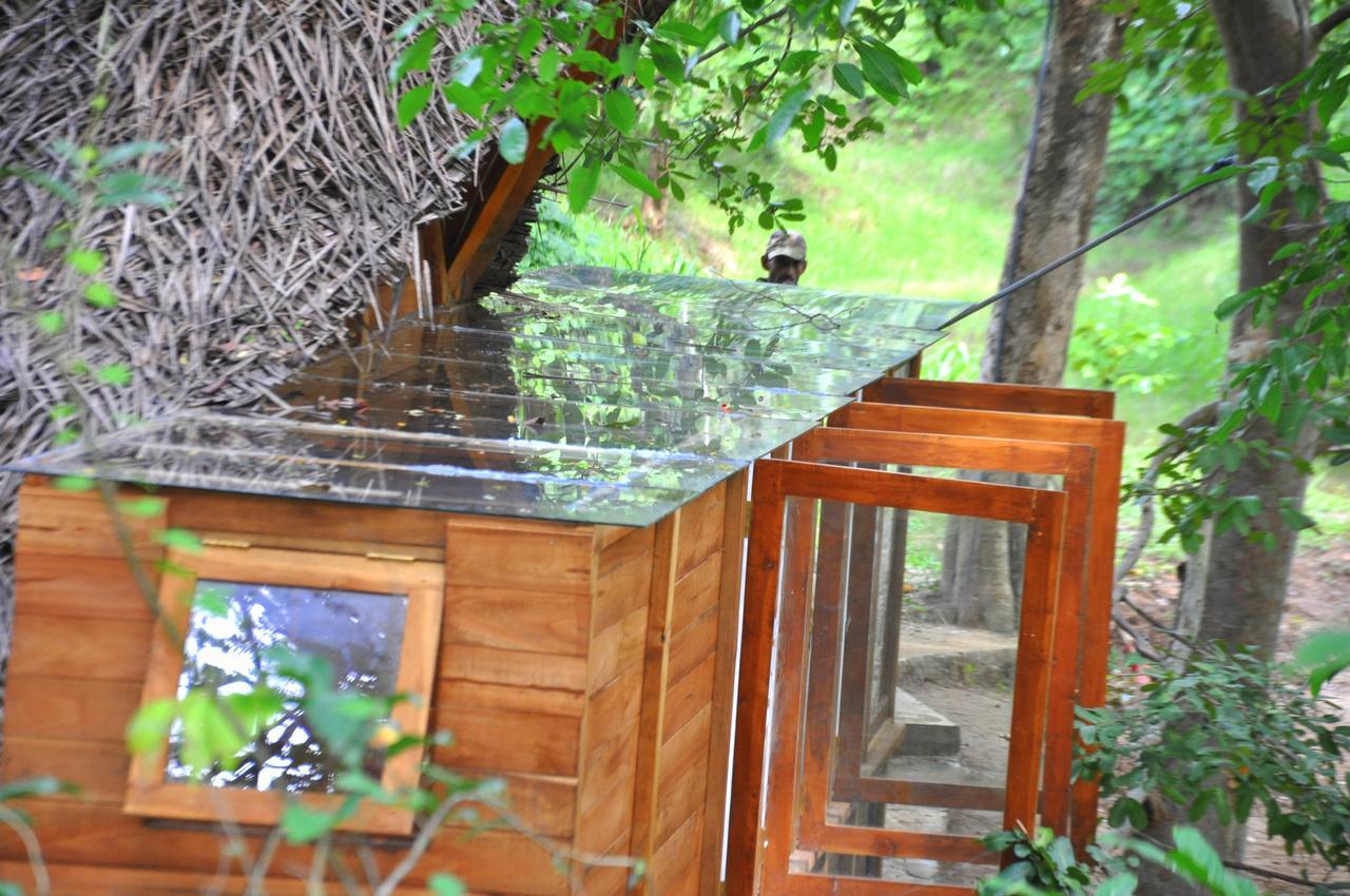 Vila Raintree Dambulla Exteriér fotografie