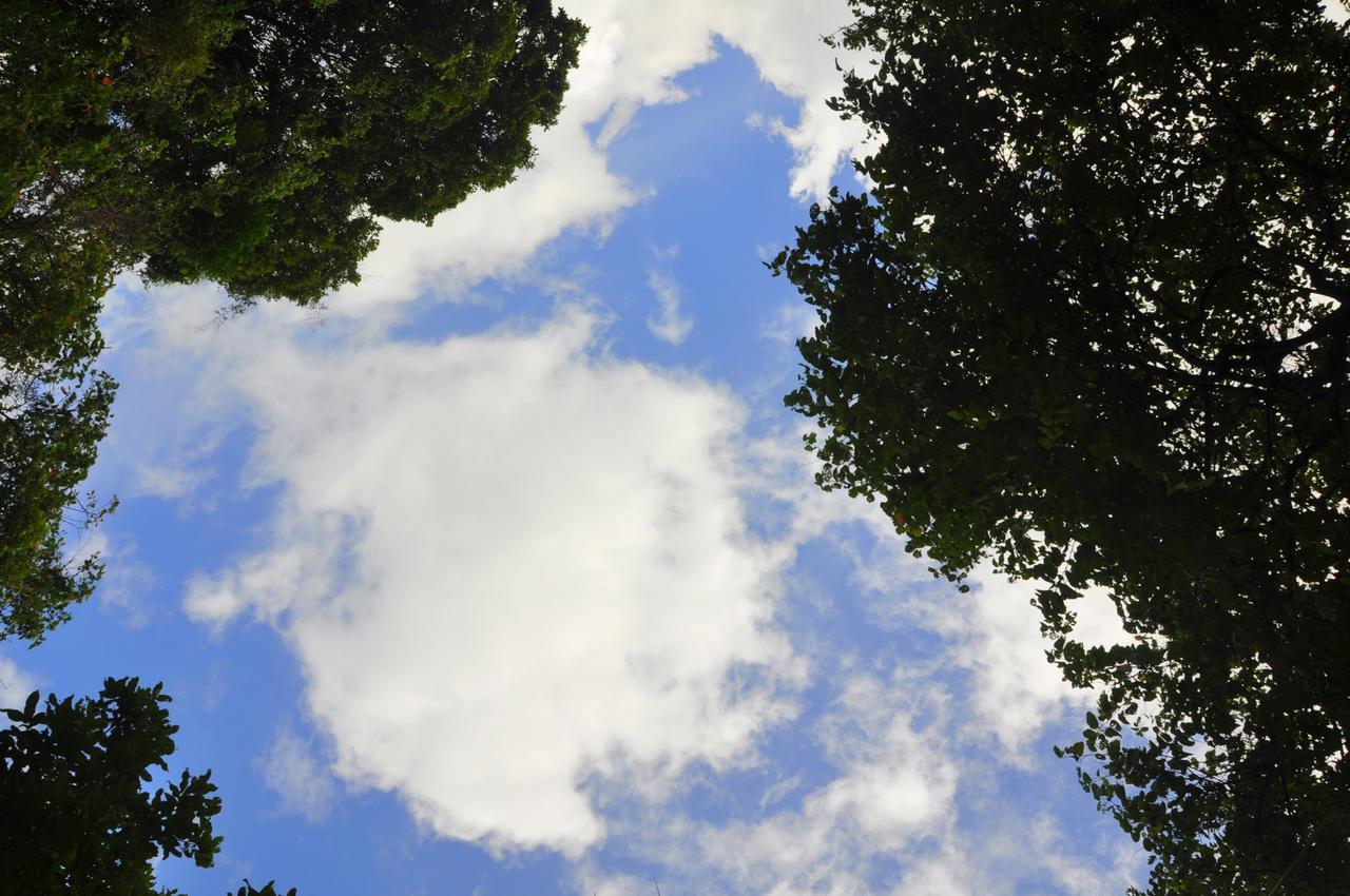Vila Raintree Dambulla Exteriér fotografie