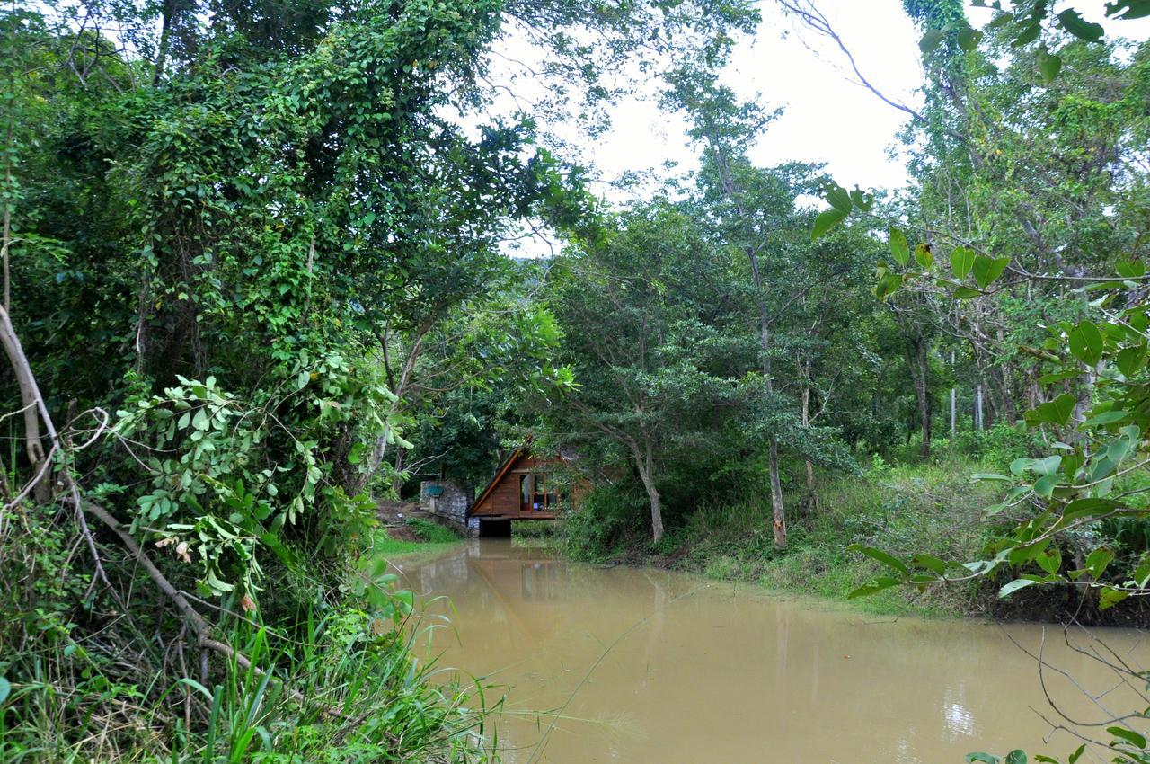 Vila Raintree Dambulla Exteriér fotografie