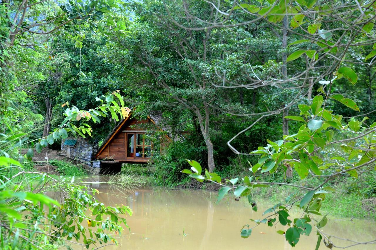 Vila Raintree Dambulla Exteriér fotografie
