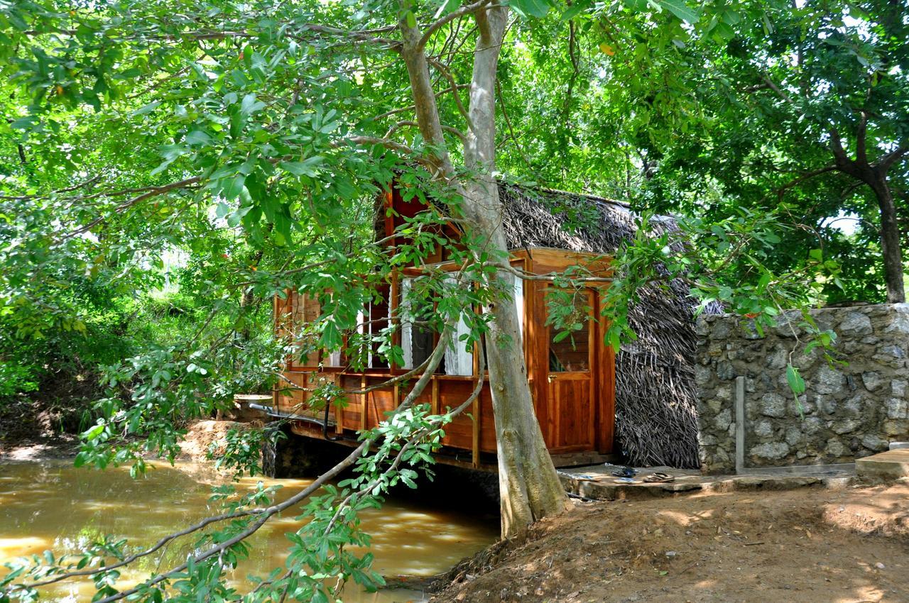 Vila Raintree Dambulla Exteriér fotografie