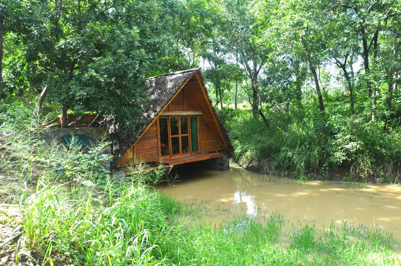 Vila Raintree Dambulla Exteriér fotografie