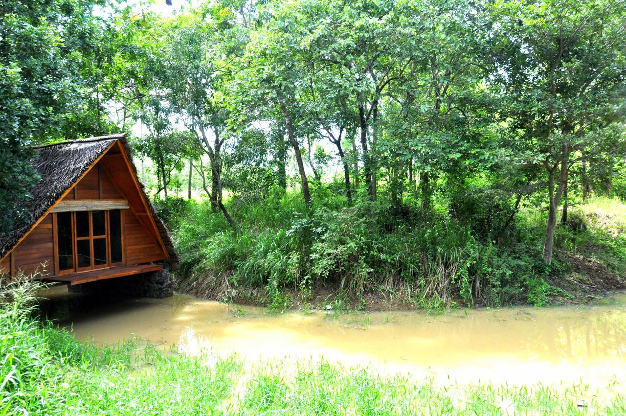 Vila Raintree Dambulla Exteriér fotografie