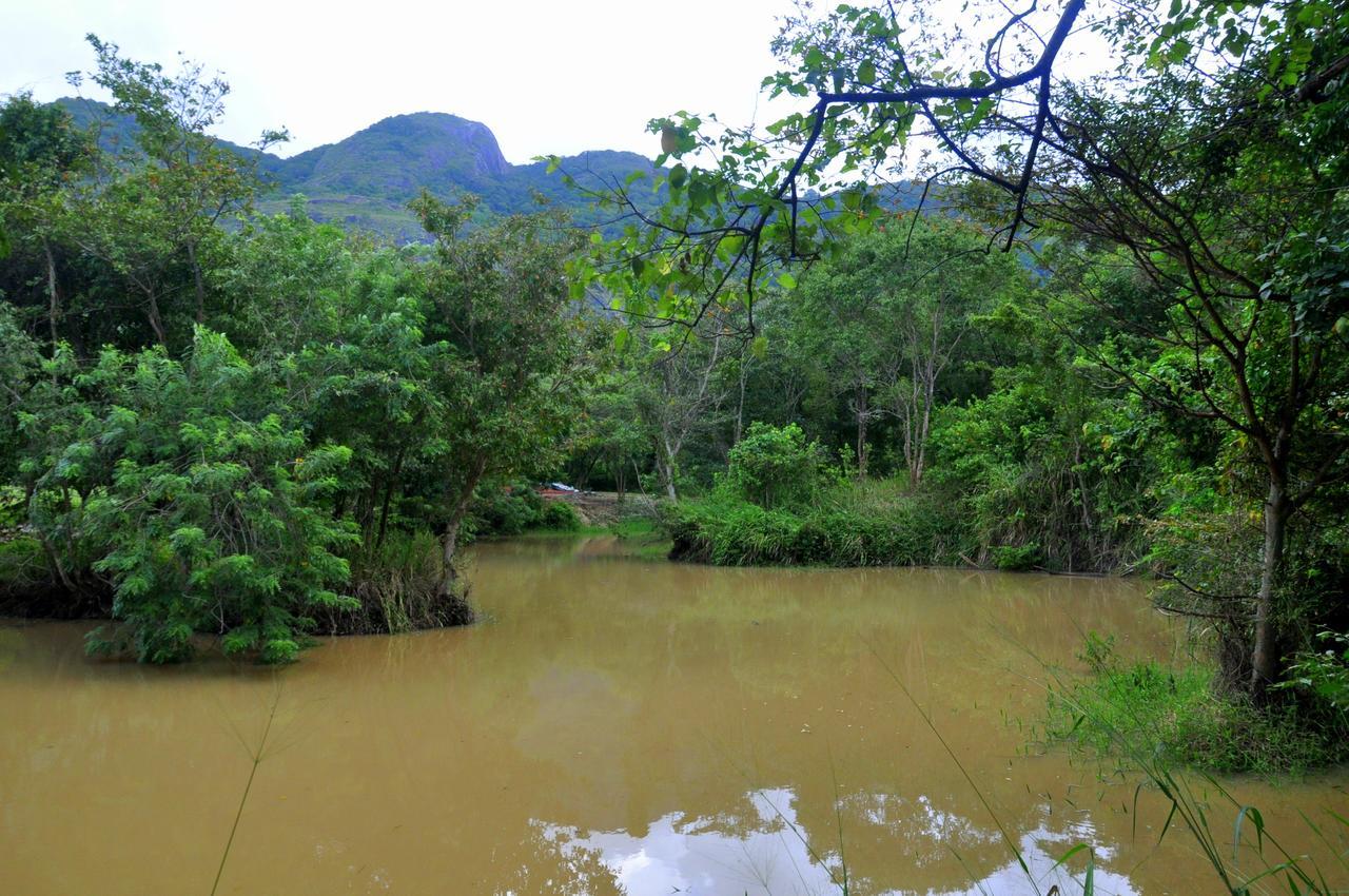 Vila Raintree Dambulla Exteriér fotografie