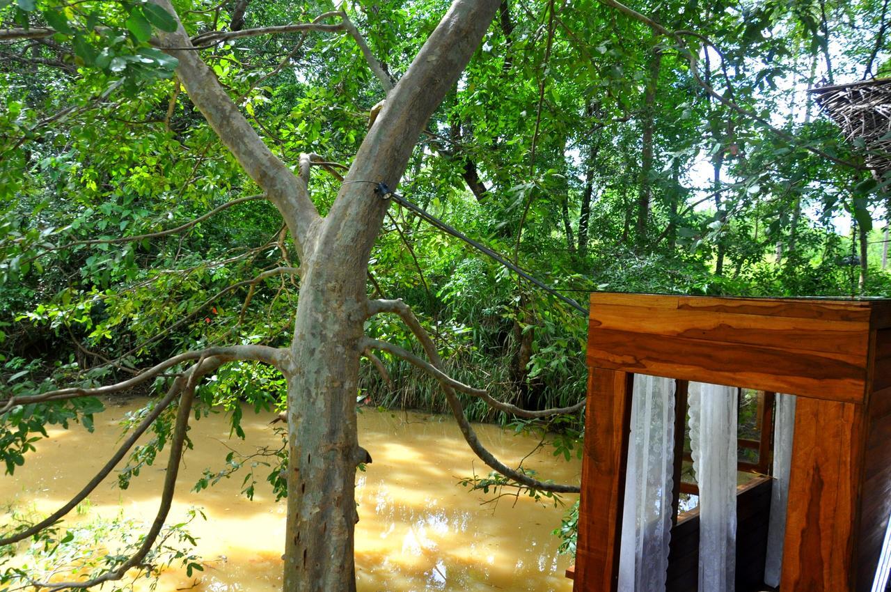 Vila Raintree Dambulla Exteriér fotografie