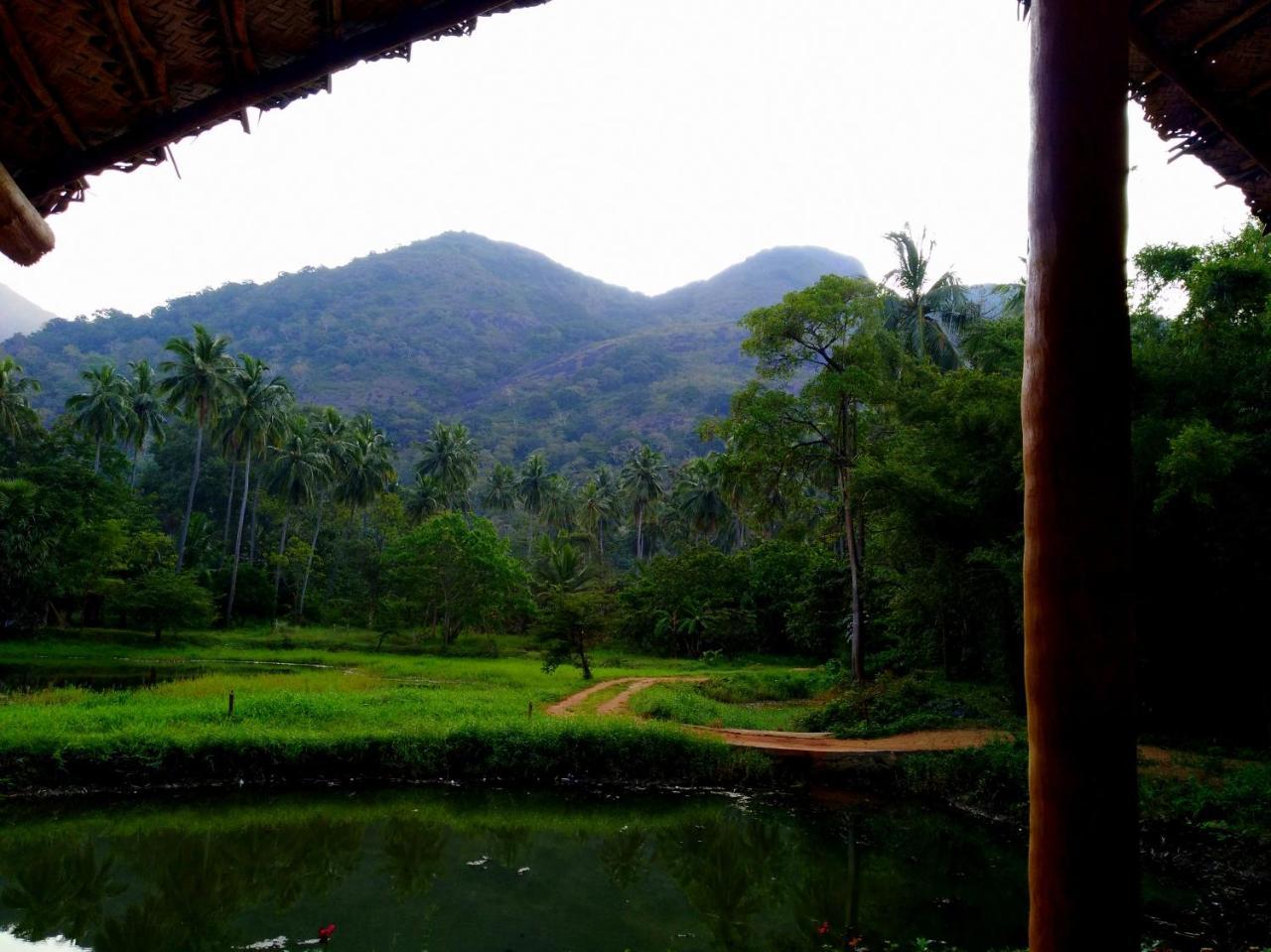 Vila Raintree Dambulla Exteriér fotografie