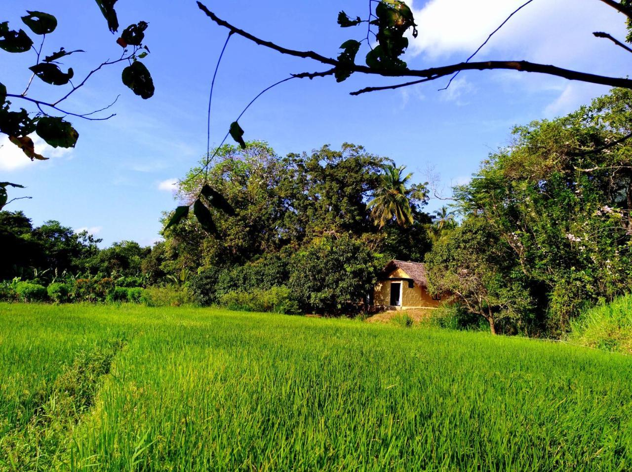 Vila Raintree Dambulla Exteriér fotografie