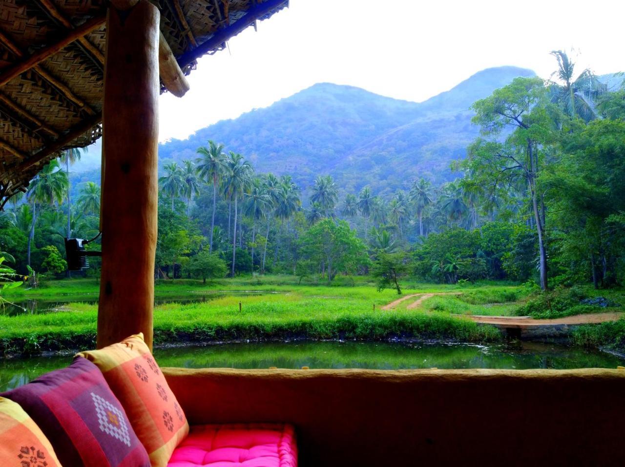 Vila Raintree Dambulla Exteriér fotografie