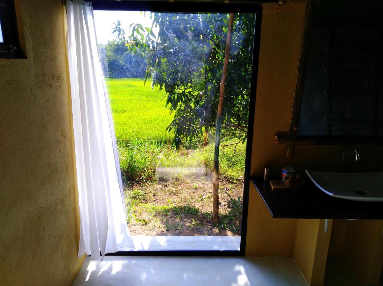 Vila Raintree Dambulla Exteriér fotografie