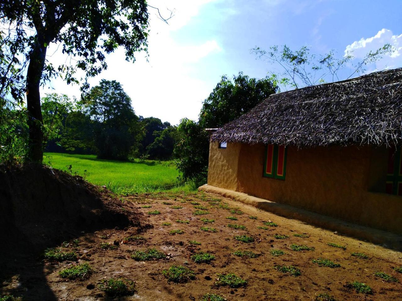 Vila Raintree Dambulla Exteriér fotografie