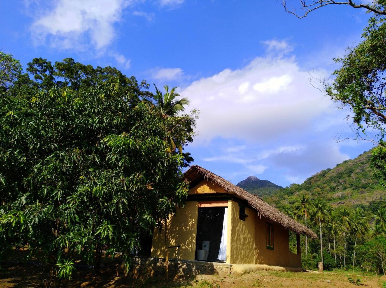Vila Raintree Dambulla Exteriér fotografie