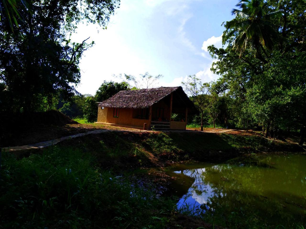 Vila Raintree Dambulla Exteriér fotografie