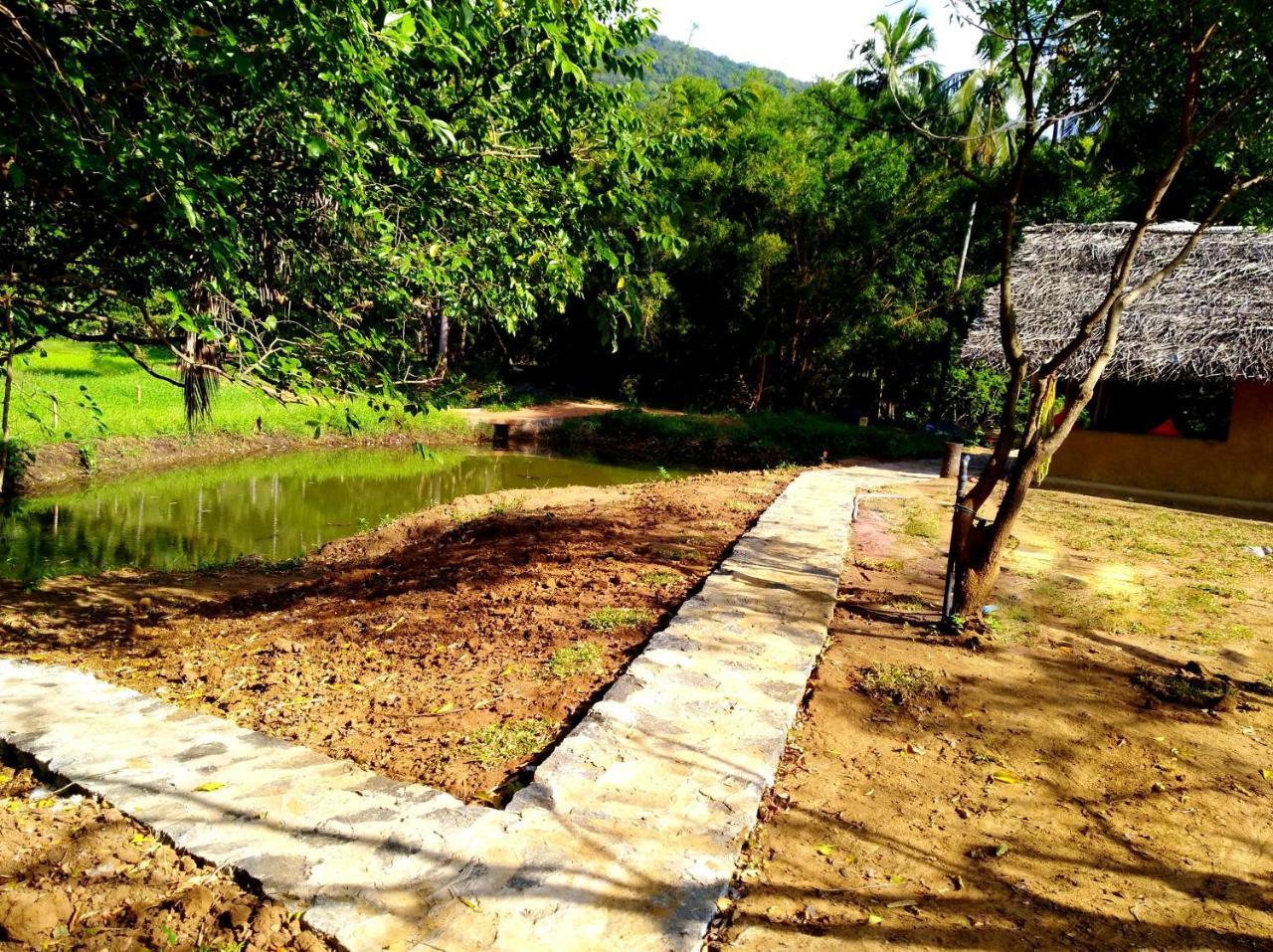 Vila Raintree Dambulla Exteriér fotografie